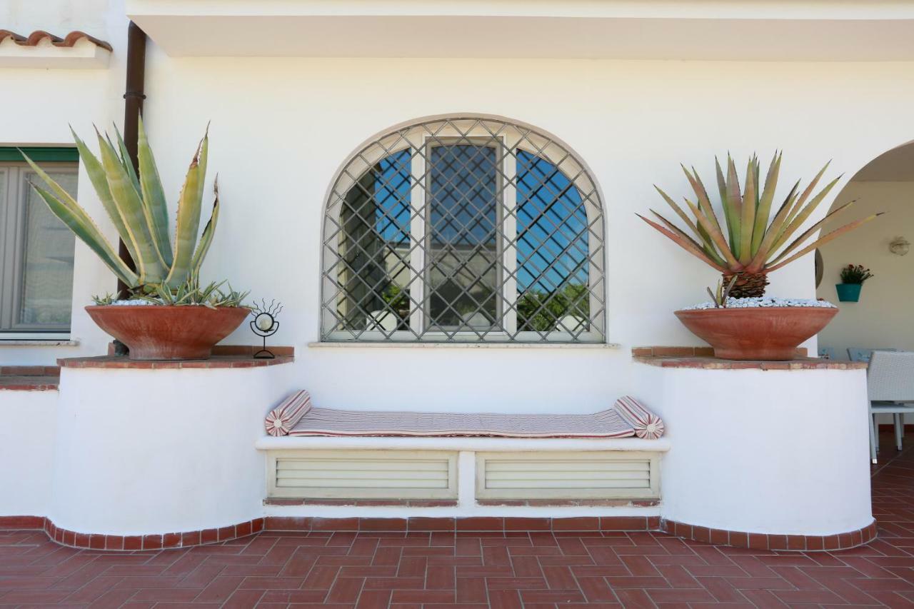 L'Ippocampo Guest House Sabaudia Dış mekan fotoğraf
