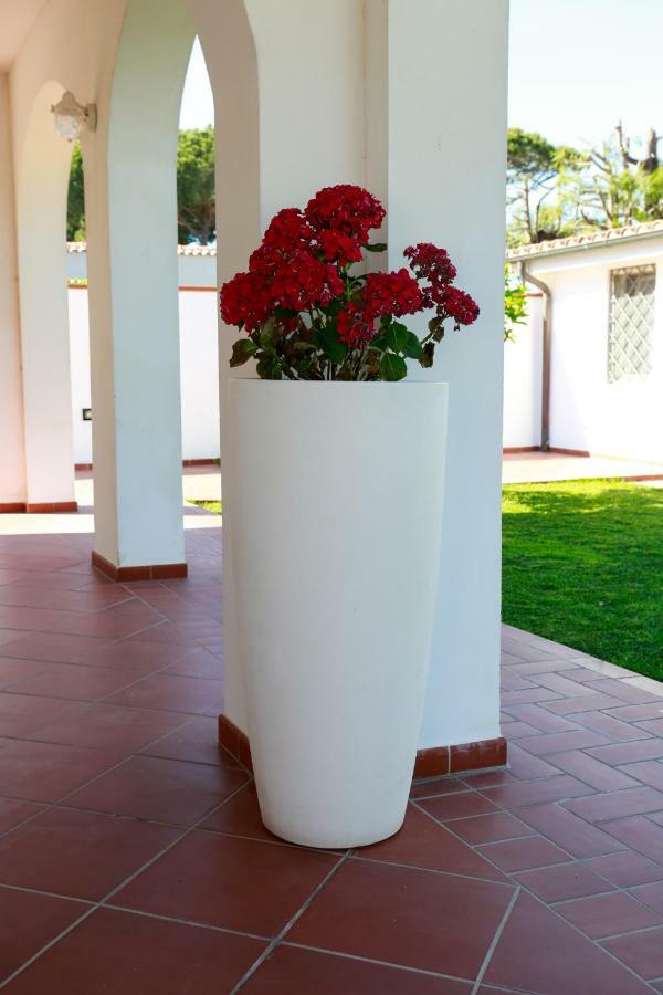 L'Ippocampo Guest House Sabaudia Dış mekan fotoğraf
