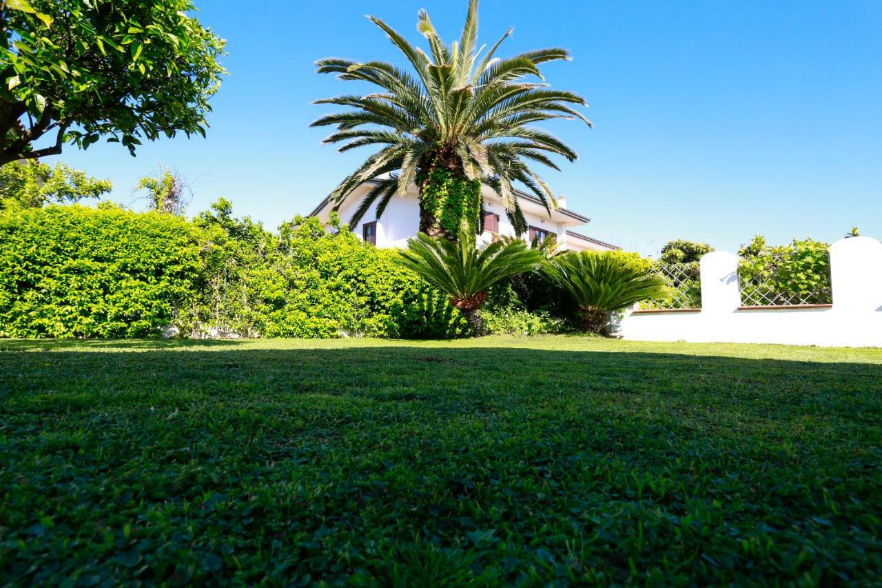 L'Ippocampo Guest House Sabaudia Dış mekan fotoğraf